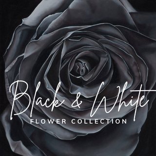 Black & White Collection