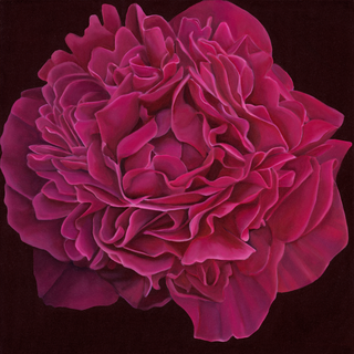 Peony Print- "Bewitched"