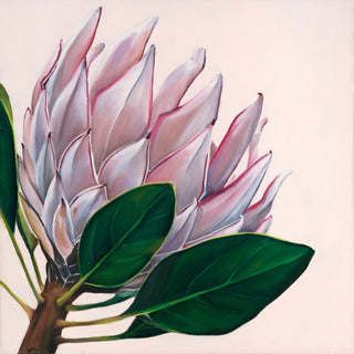 King Protea Print- "Patience"