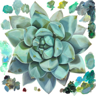 Succulent Print- "Silvery Serenity"