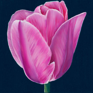 Tulip Print- "Blush"