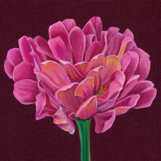 Zinnia Print- "Charm"