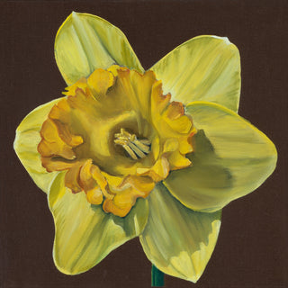 Daffodil Print- "Sunburst"